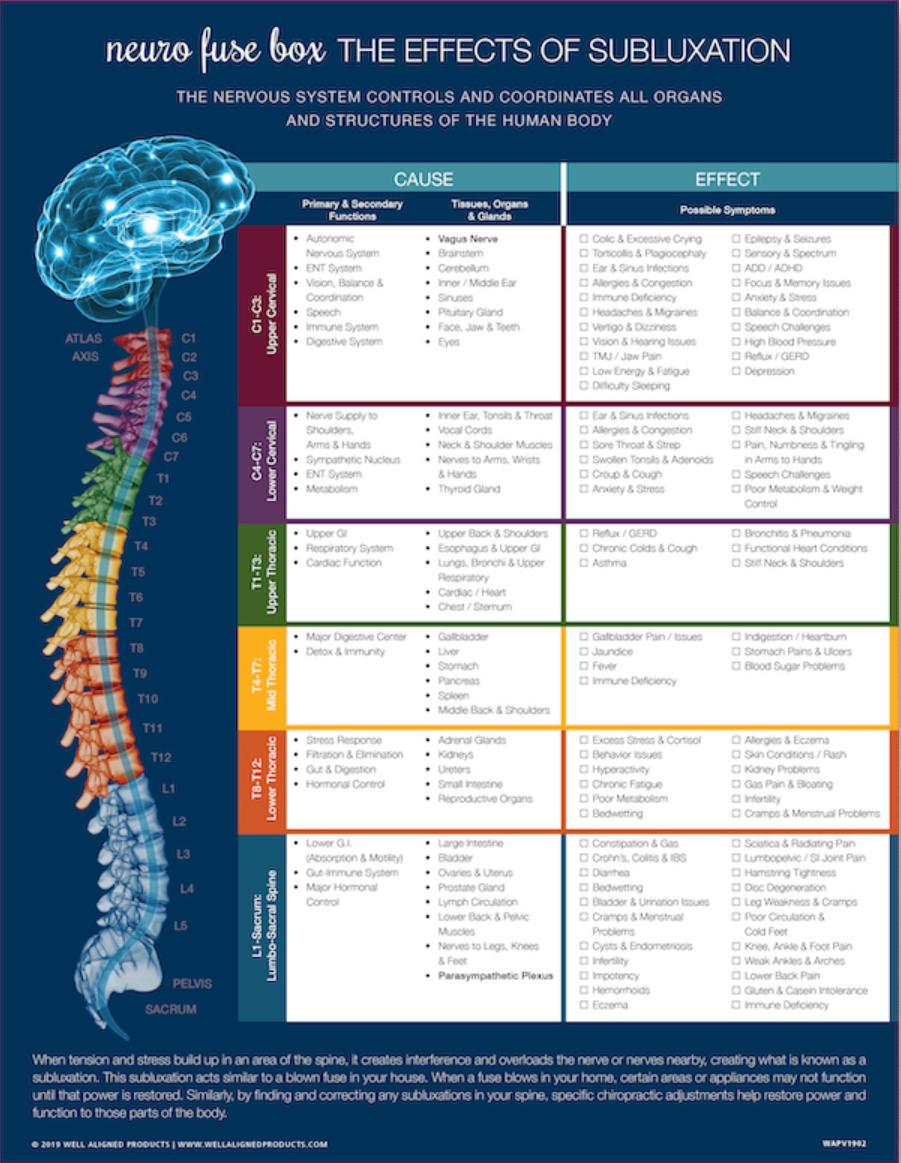 The Effects of Subluxation: spinal levels mapped to body systems