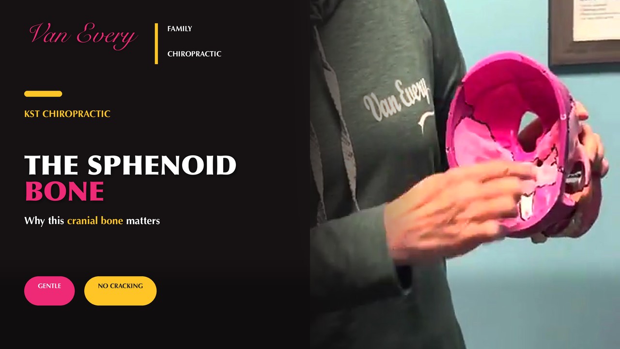 THE SPHENOID BONE